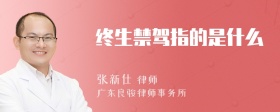 终生禁驾指的是什么