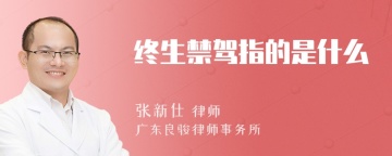 终生禁驾指的是什么