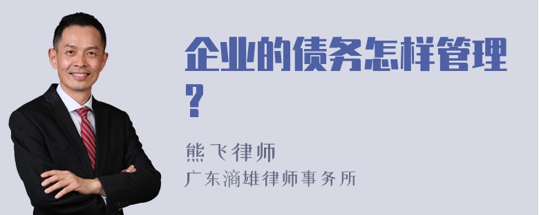 企业的债务怎样管理?