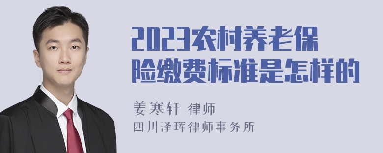 2023农村养老保险缴费标准是怎样的