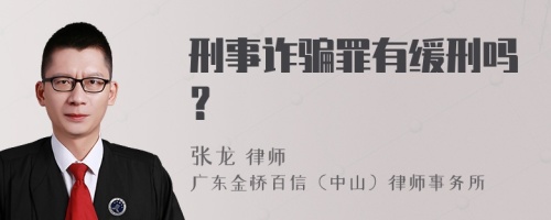 刑事诈骗罪有缓刑吗？