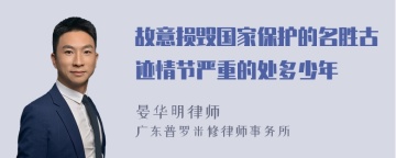 故意损毁国家保护的名胜古迹情节严重的处多少年