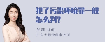 犯了污染环境罪一般怎么判?