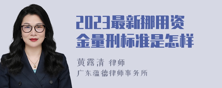 2023最新挪用资金量刑标准是怎样