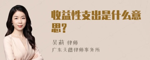 收益性支出是什么意思?