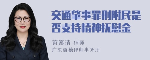 交通肇事罪刑附民是否支持精神抚慰金