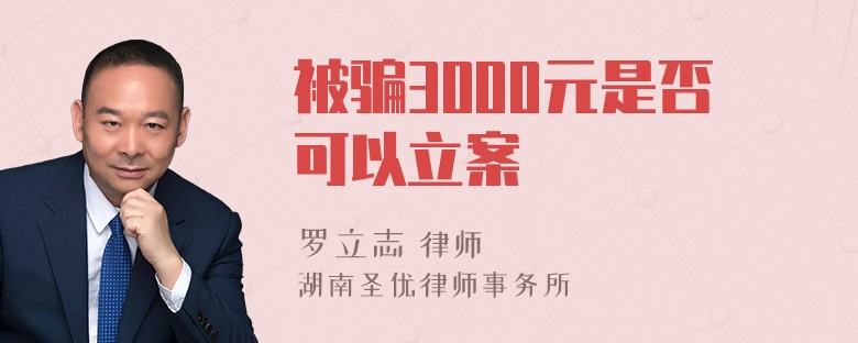 被骗3000元是否可以立案