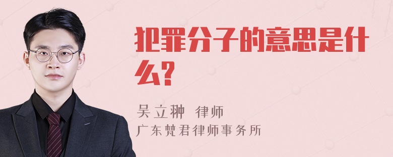 犯罪分子的意思是什么?