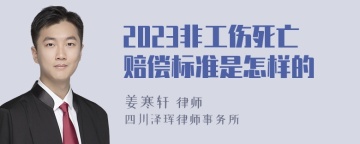 2023非工伤死亡赔偿标准是怎样的