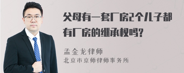 父母有一套厂房2个儿子都有厂房的继承权吗?