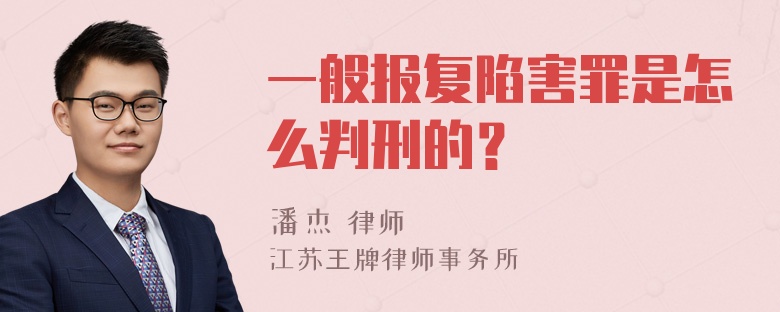 一般报复陷害罪是怎么判刑的？