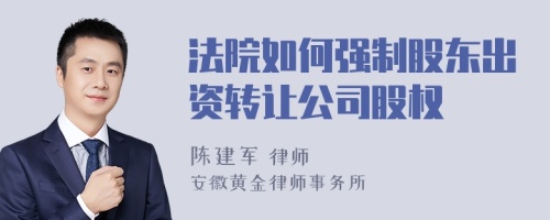 法院如何强制股东出资转让公司股权