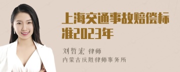 上海交通事故赔偿标准2023年