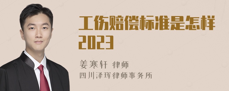 工伤赔偿标准是怎样2023