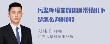 污染环境罪既遂通常情况下是怎么判刑的?