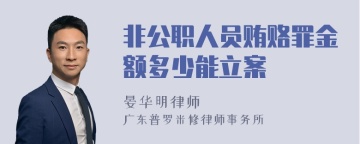 非公职人员贿赂罪金额多少能立案