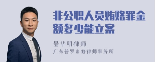 非公职人员贿赂罪金额多少能立案