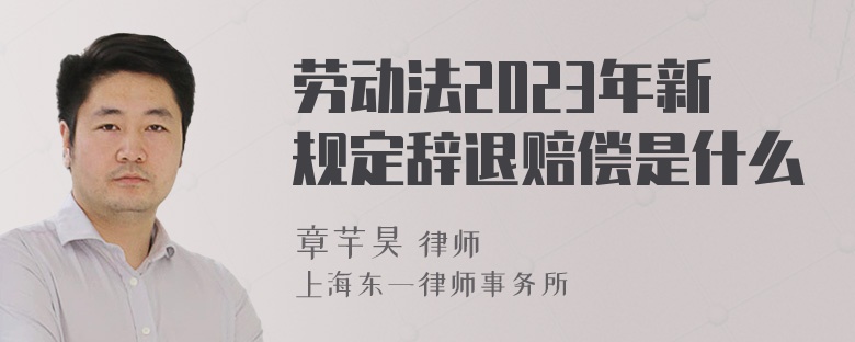 劳动法2023年新规定辞退赔偿是什么