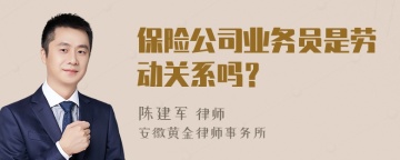 保险公司业务员是劳动关系吗？