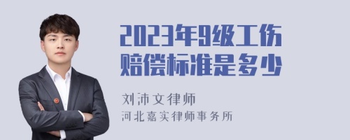 2023年9级工伤赔偿标准是多少