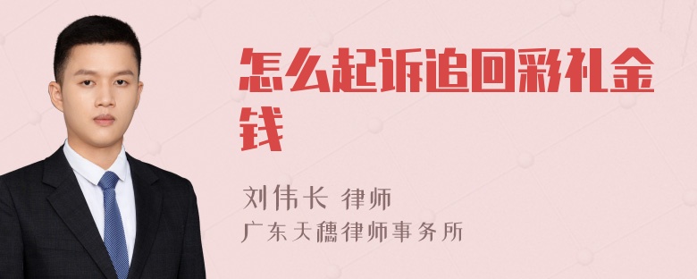 怎么起诉追回彩礼金钱