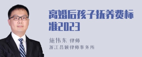 离婚后孩子抚养费标准2023