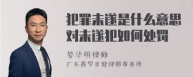 犯罪未遂是什么意思对未遂犯如何处罚