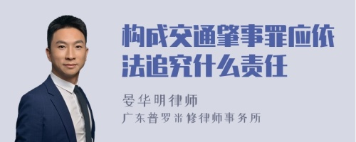 构成交通肇事罪应依法追究什么责任