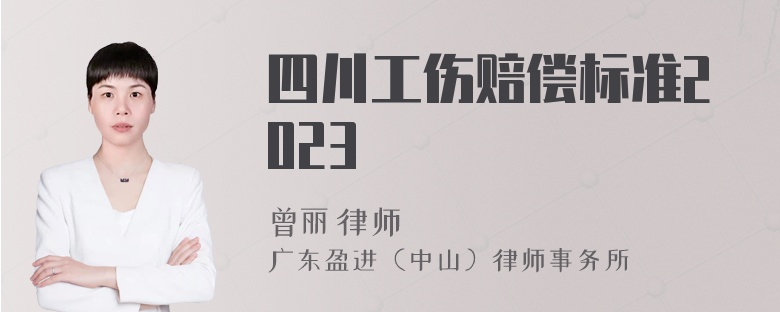 四川工伤赔偿标准2023