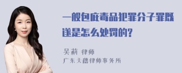 一般包庇毒品犯罪分子罪既遂是怎么处罚的?