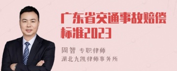 广东省交通事故赔偿标准2023