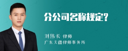 分公司名称规定?