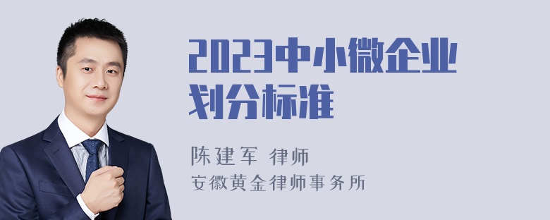 2023中小微企业划分标准