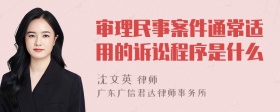 审理民事案件通常适用的诉讼程序是什么