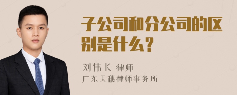 子公司和分公司的区别是什么？