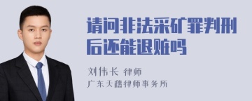 请问非法采矿罪判刑后还能退赃吗