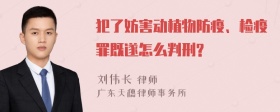 犯了妨害动植物防疫、检疫罪既遂怎么判刑?