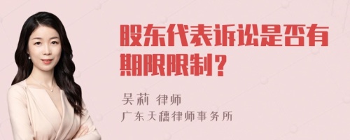 股东代表诉讼是否有期限限制？