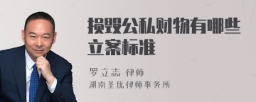 损毁公私财物有哪些立案标准