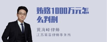 贿赂1000万元怎么判刑