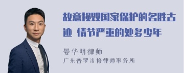 故意损毁国家保护的名胜古迹 情节严重的处多少年