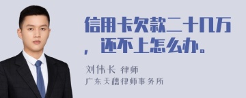 信用卡欠款二十几万，还不上怎么办。