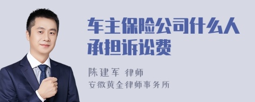 车主保险公司什么人承担诉讼费