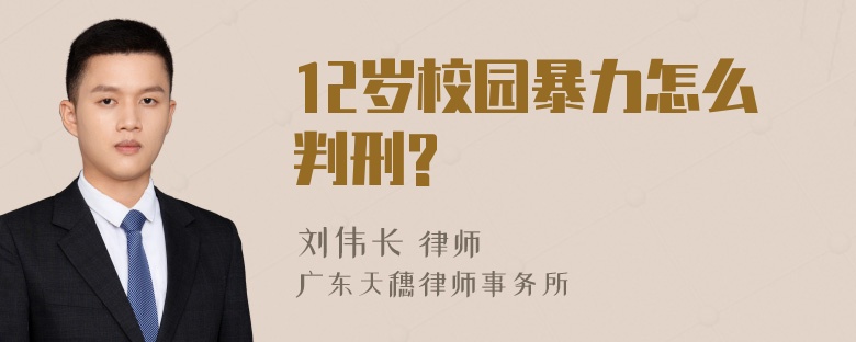 12岁校园暴力怎么判刑?