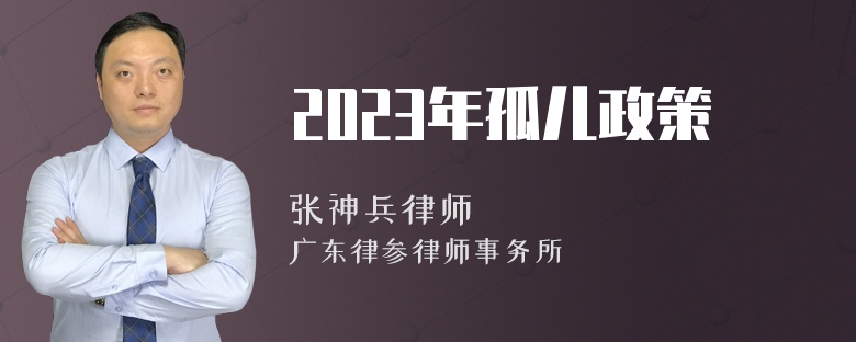 2023年孤儿政策