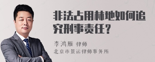 非法占用林地如何追究刑事责任？