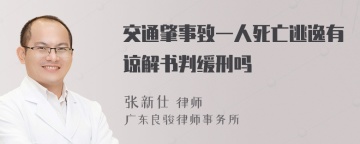 交通肇事致一人死亡逃逸有谅解书判缓刑吗