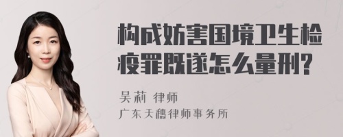 构成妨害国境卫生检疫罪既遂怎么量刑?