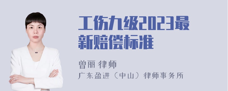 工伤九级2023最新赔偿标准