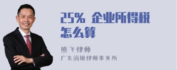 25% 企业所得税怎么算